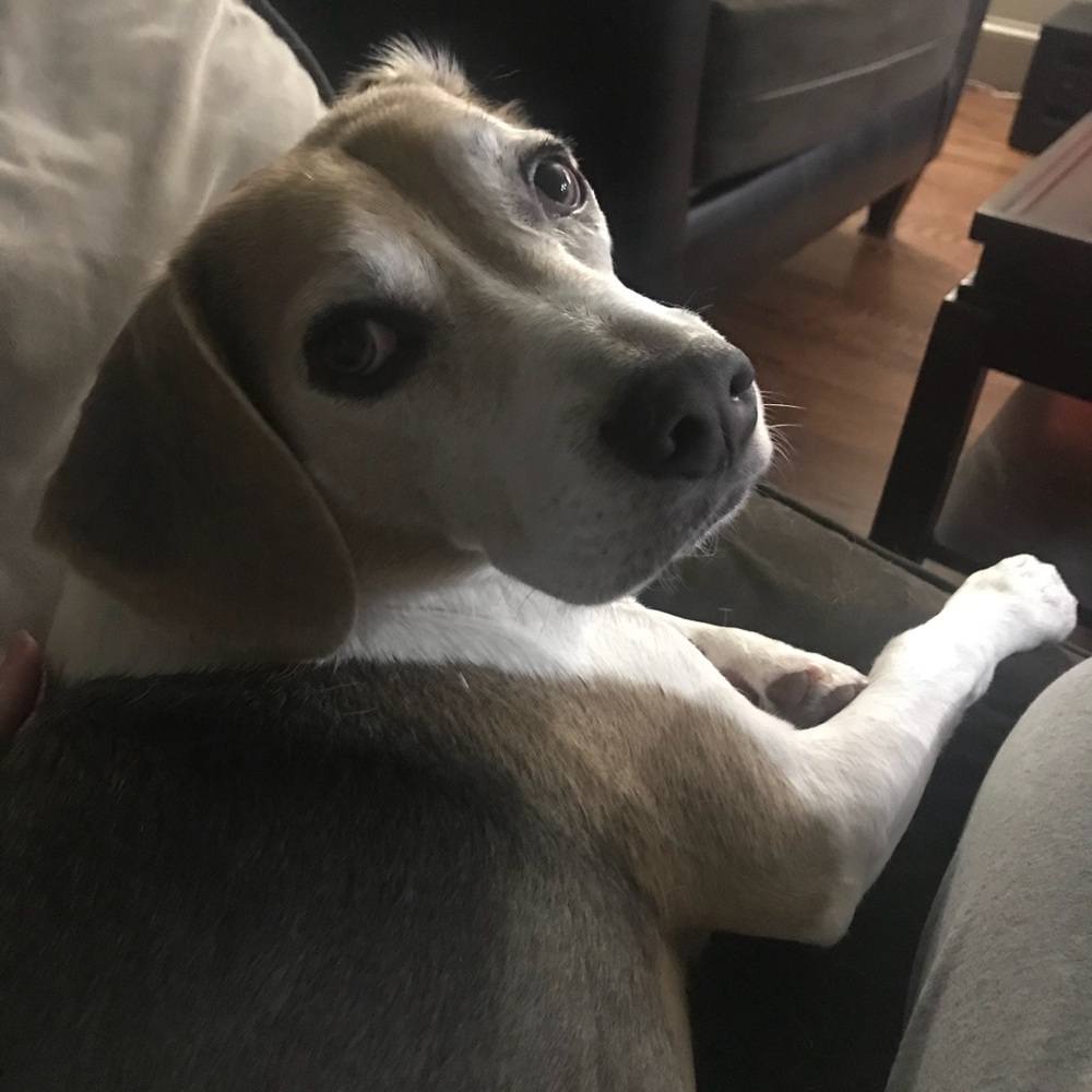 Meet your Posher, Angela